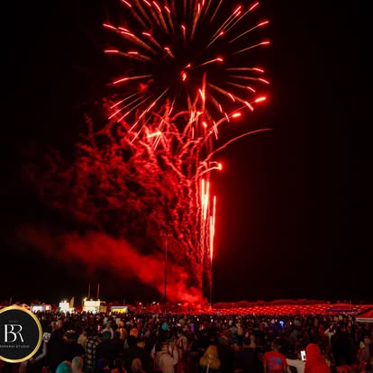 Festival crowd shot